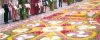 Infiorata di Gerano :