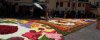 Infiorata di Gerano 2012