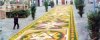 Infiorata di Gerano :