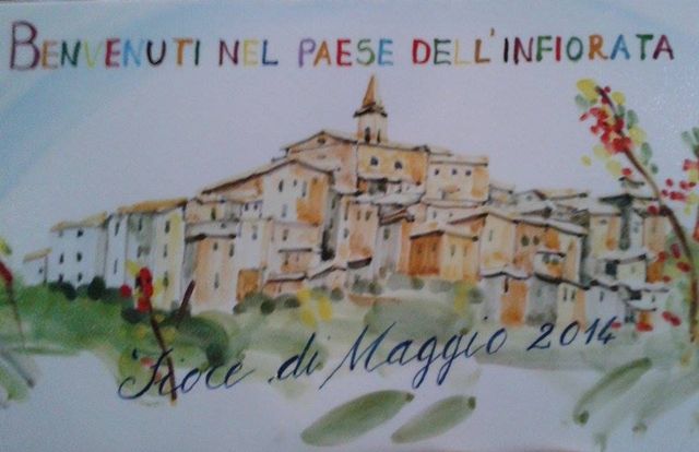 fiore maggio 14